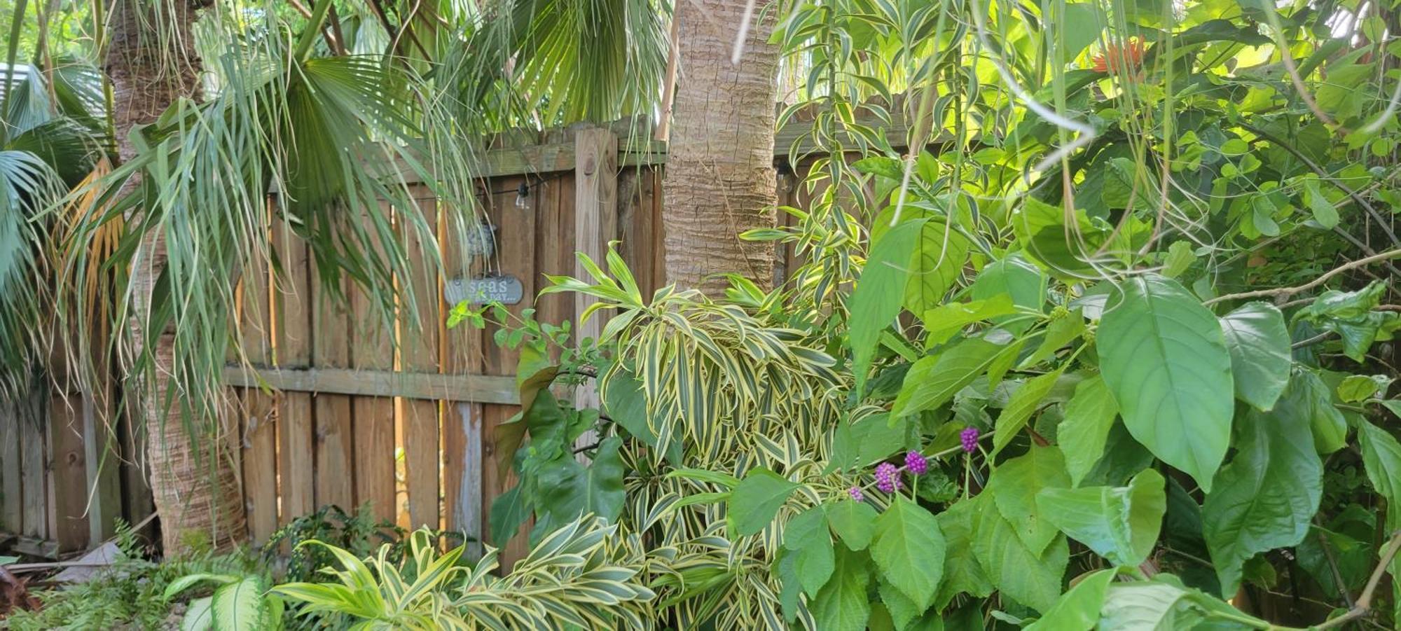 The Butterfly Cottage Marathon Exterior foto